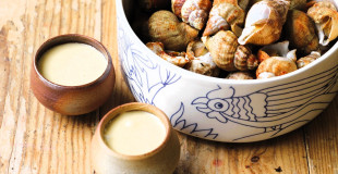 Coquillages