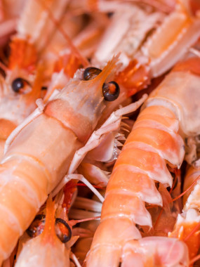  Langoustines Crues 16/20 - 500g