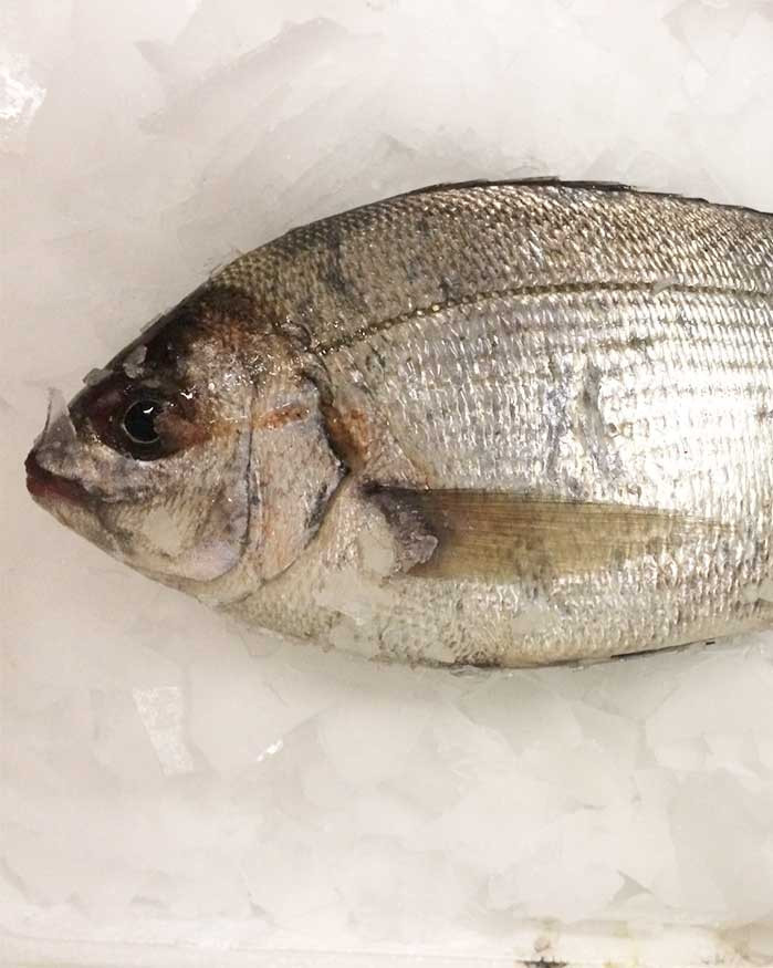 Dorade Grise - Vidée Grattée - 500g