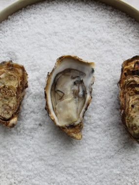 Huîtres fines cocktail N°4 - Saint-Vaast - 32 pièces 