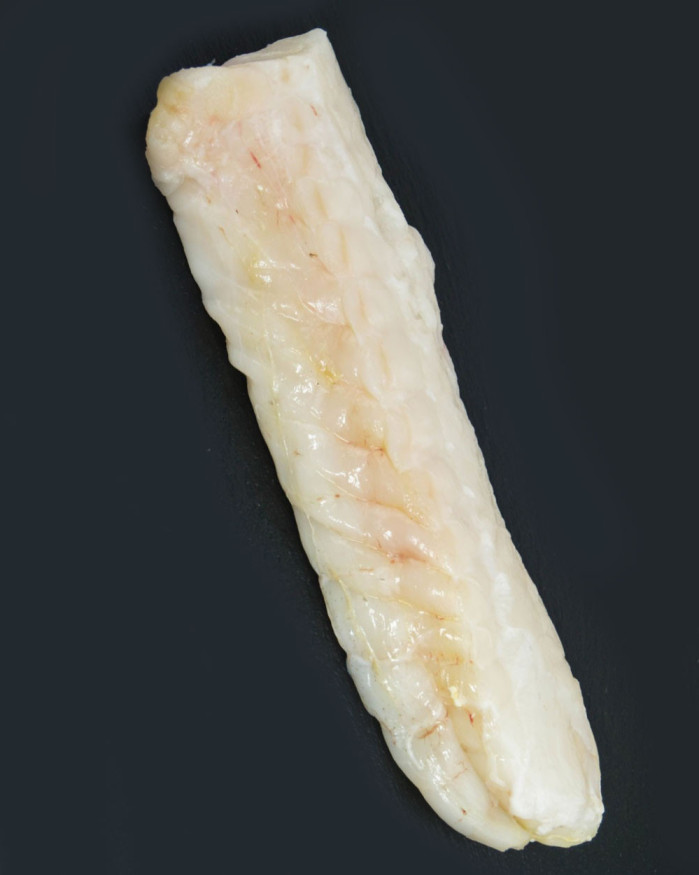Filets de loup de l'Atlantique - sans peau - 1kg