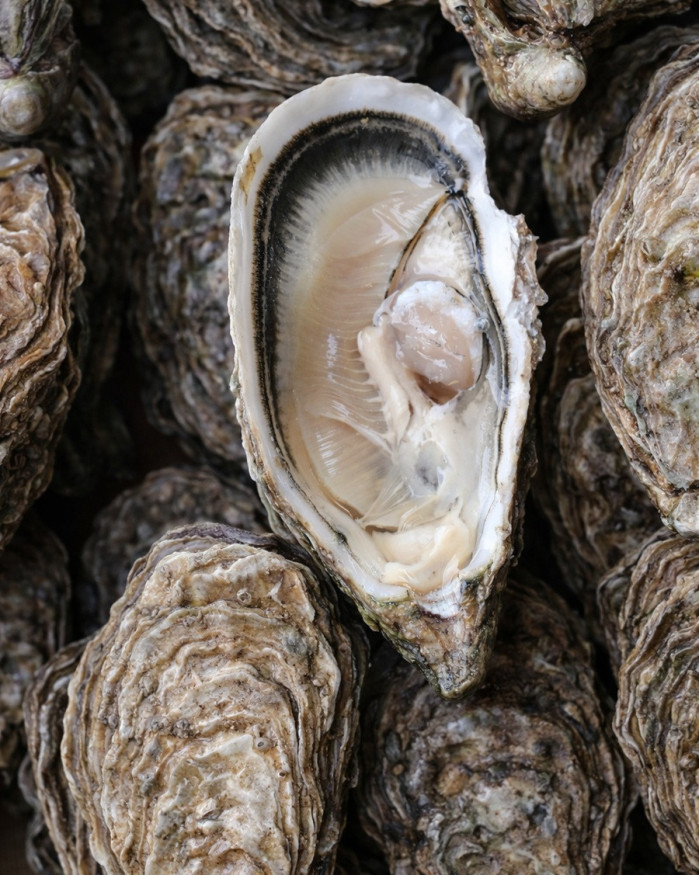 Huîtres spéciales - LA REDOUTABLE 3.2 - Saint-Vaast - 12 pièces