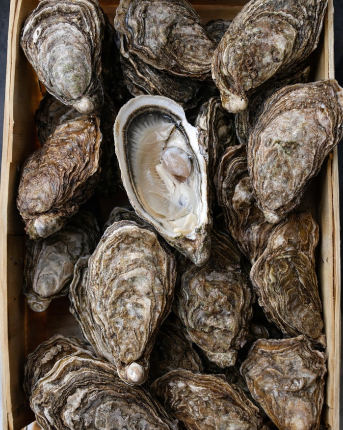 Huîtres spéciales - LA REDOUTABLE 3.2 - Saint-Vaast - 3kg