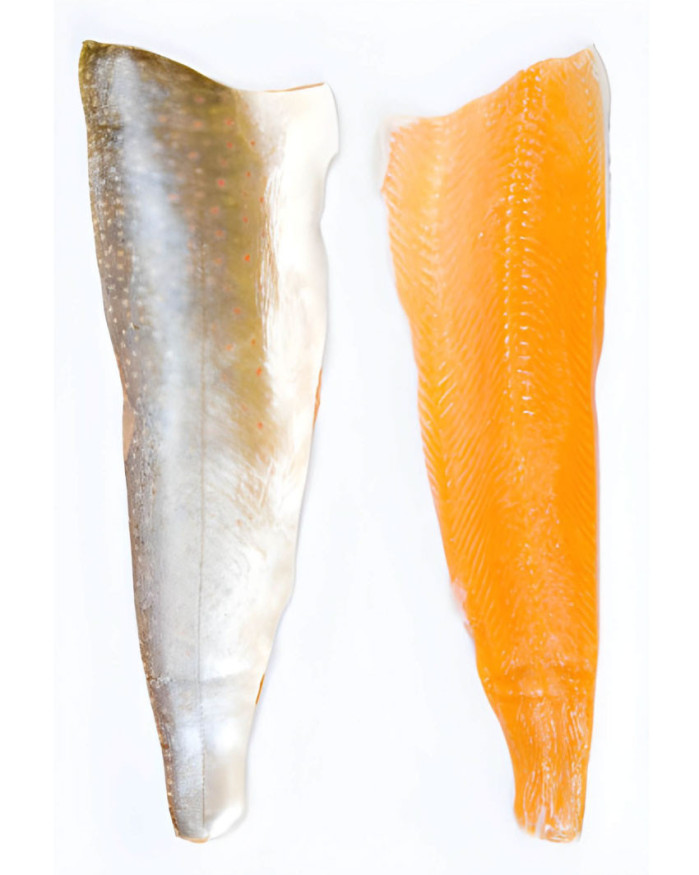 Filets d'omble chevalier avec peau - 500 g