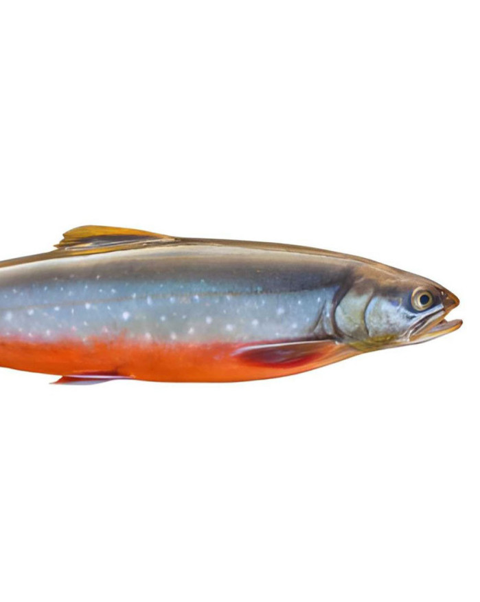 Filets d'omble chevalier avec peau - 500 g