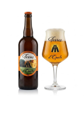 Bière IPA - 75cl - 7.2° Brasseurs TERRES D'OPALE