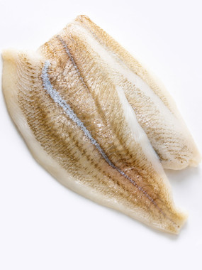 Filet de carrelet (plie) - 500g