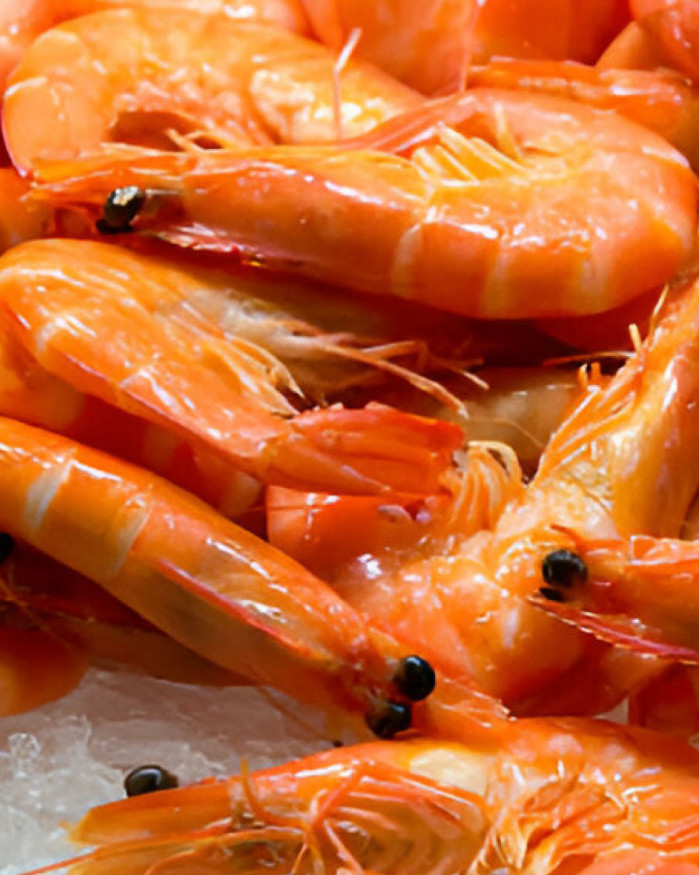 Crevettes roses bio