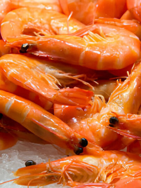 Crevettes roses bio 40/60 - 1kg