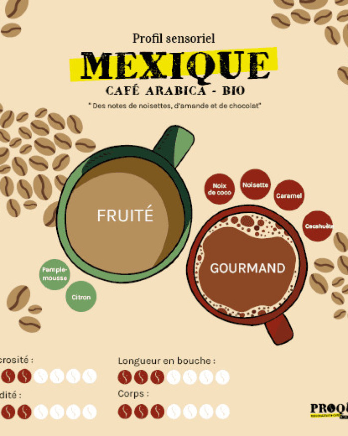 Café Bio - MEXIQUE - Arabica - Chiapas - Santa Fé - PROQUA - 250g