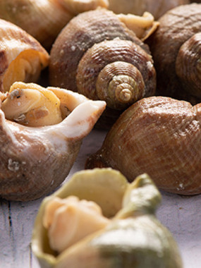 Bulots du Cotentin cuits maison - 1kg
