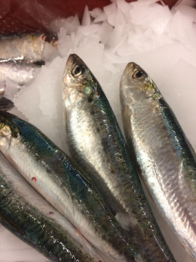 Sardines entières - 3kg