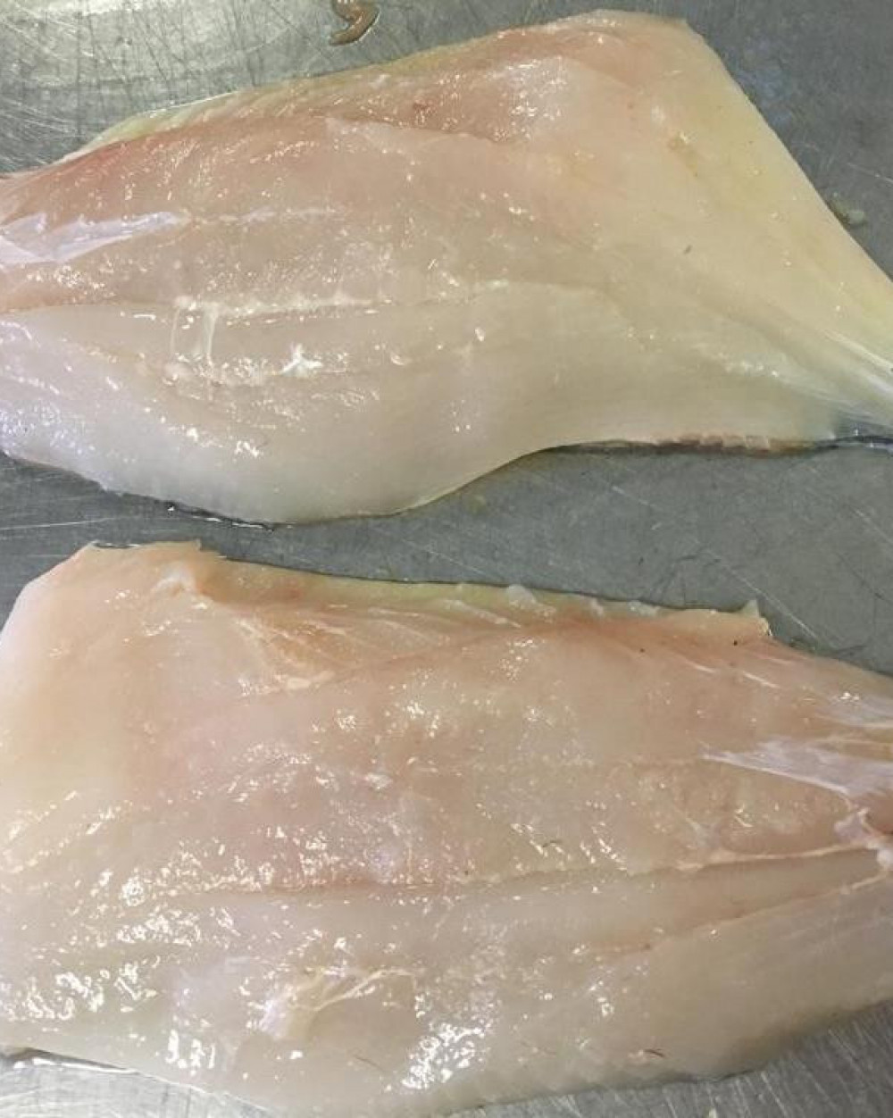 filet de peche 7 lettres