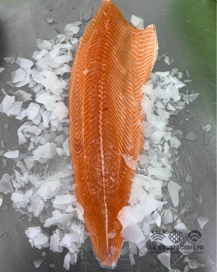 Vente en ligne de filet de saumon avec peau de 1kg, idéal pour un gravlax