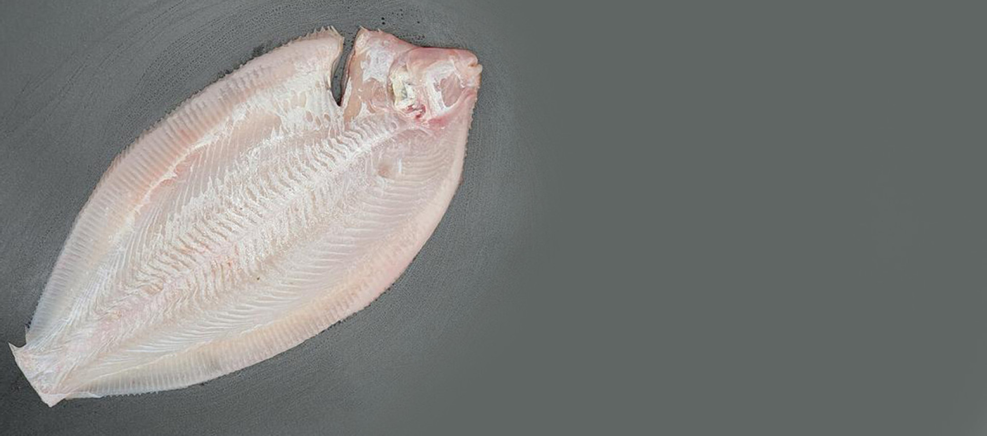 La limande-sole, c’est la doublure qui vole la vedette