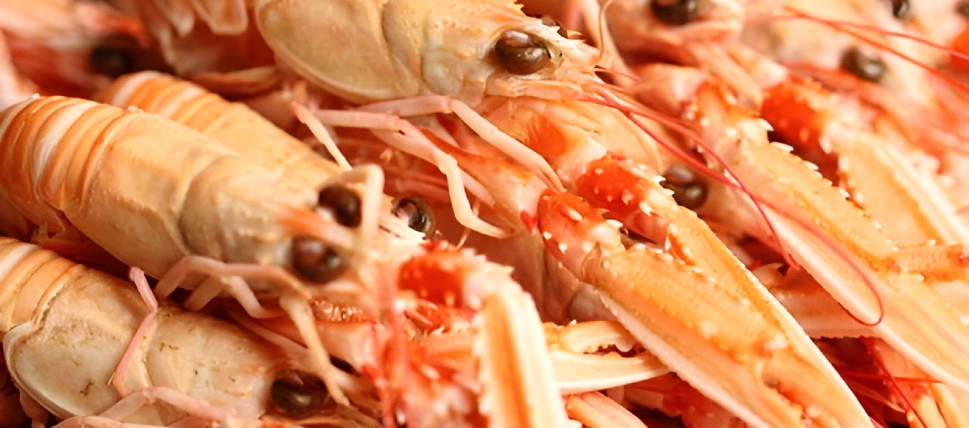 Faites de la place dans le congelo !