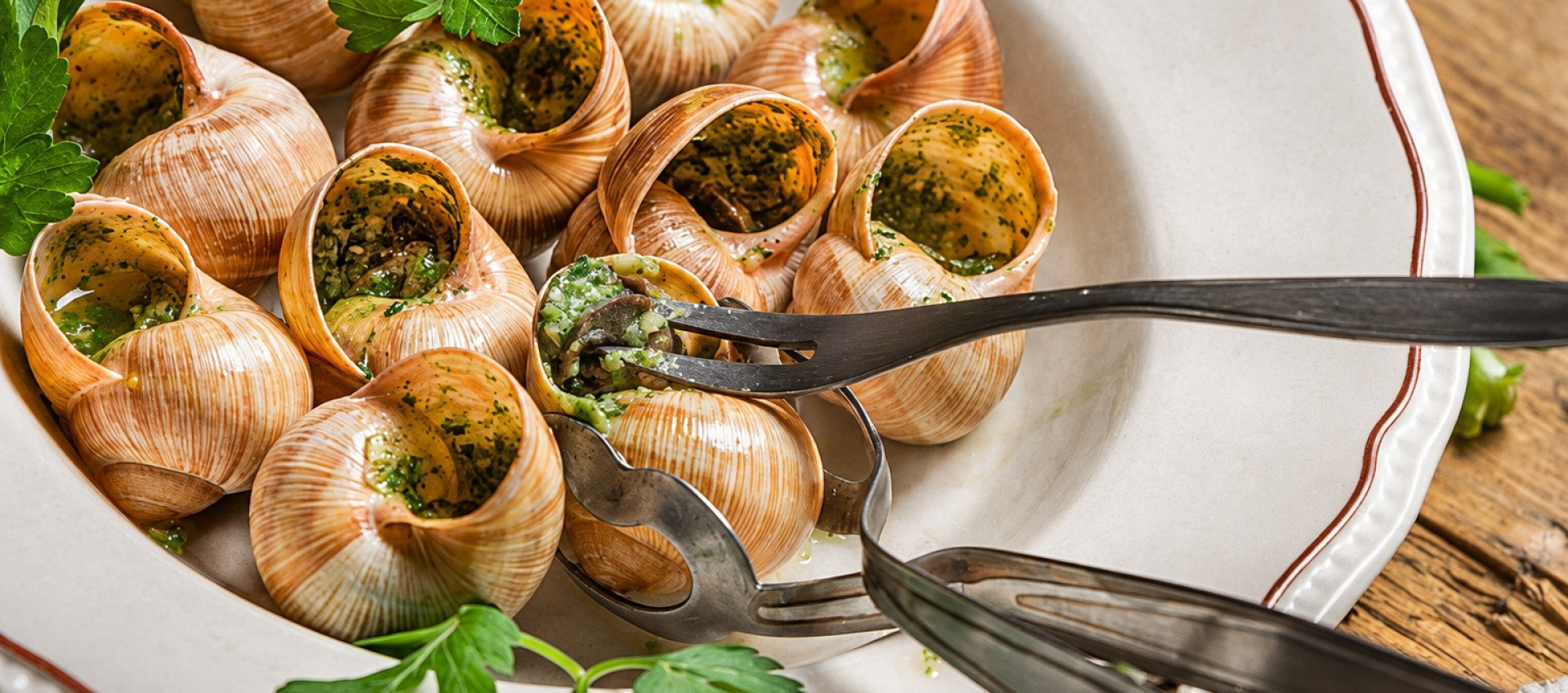 Les escargots foncent à La Crustacerie.